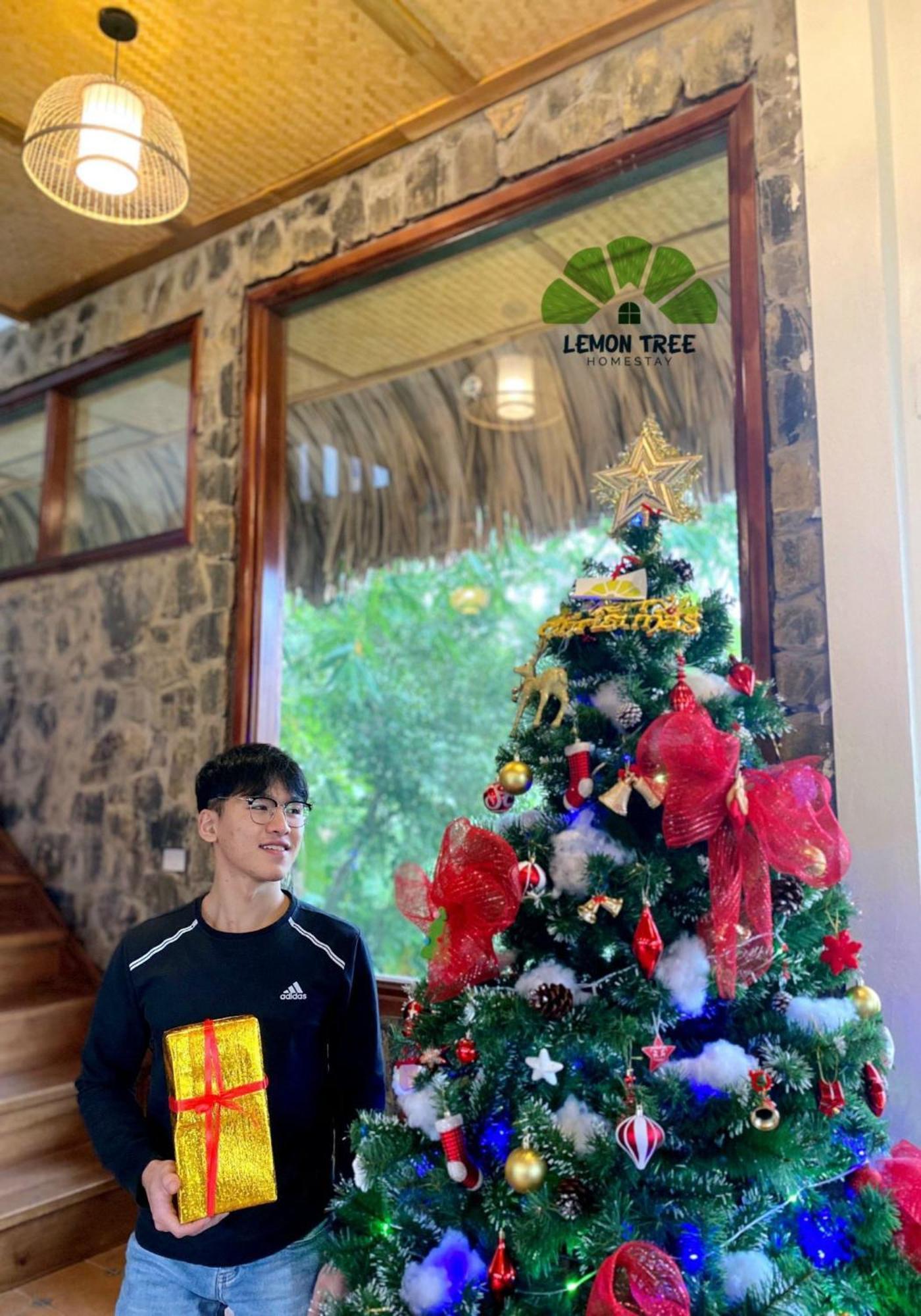 Lemon Tree Homestay Tam Coc Ninh Binh Bagian luar foto