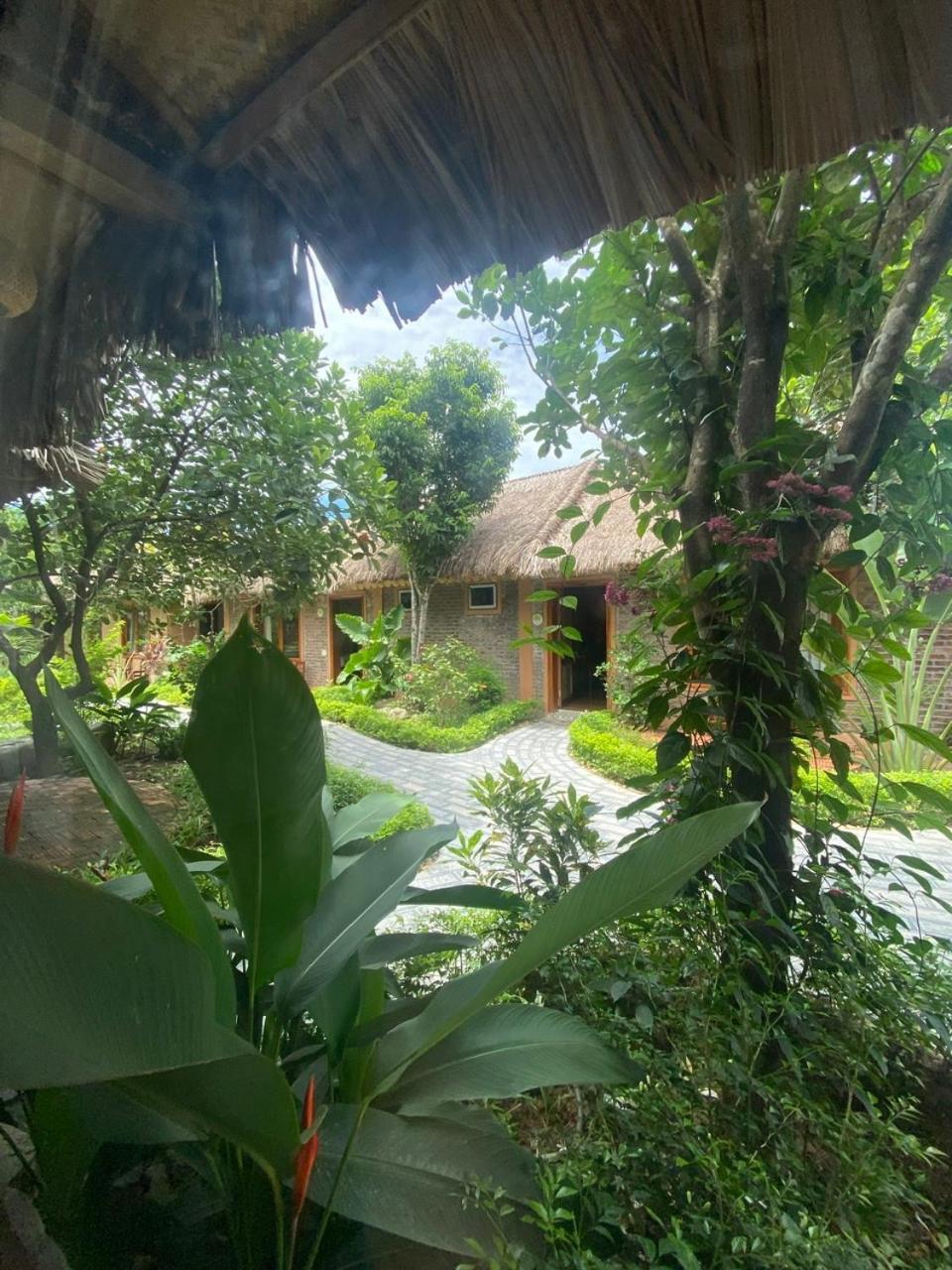 Lemon Tree Homestay Tam Coc Ninh Binh Bagian luar foto