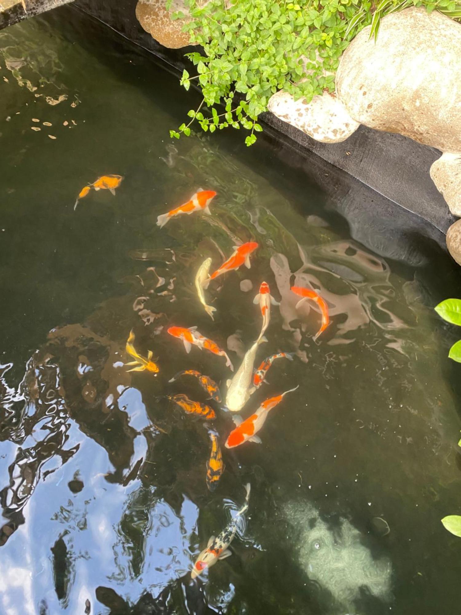 Lemon Tree Homestay Tam Coc Ninh Binh Bagian luar foto